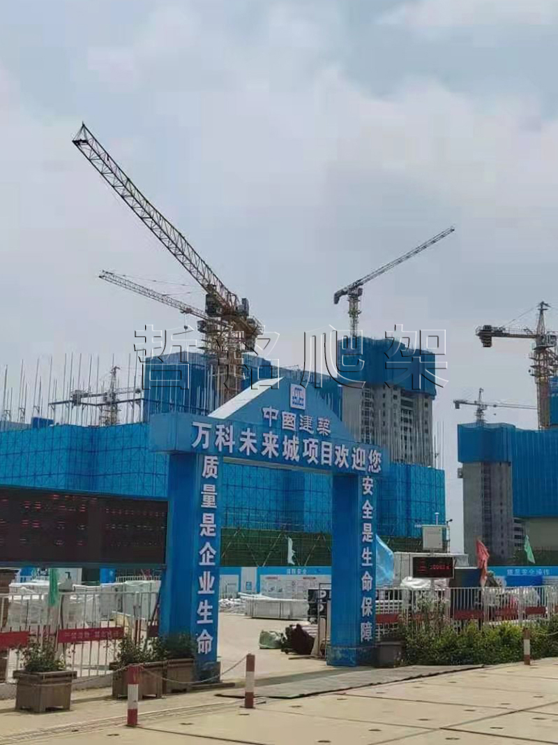 建筑爬架网